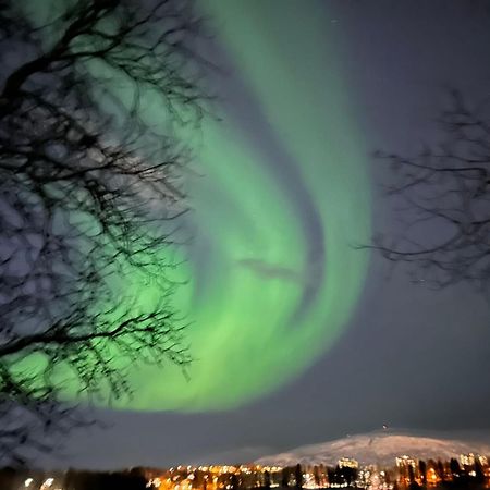 Beijing Home Tromsø Eksteriør bilde